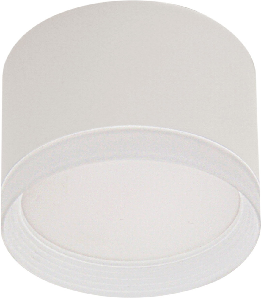 53004-9.5-001LD GX53 WT_