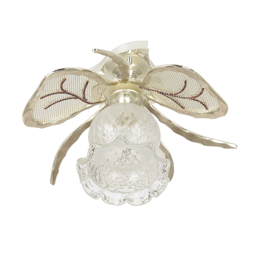 6907/P1 01 Piccolo V2562_