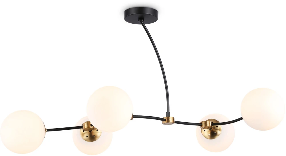 TR2548 Ambrella