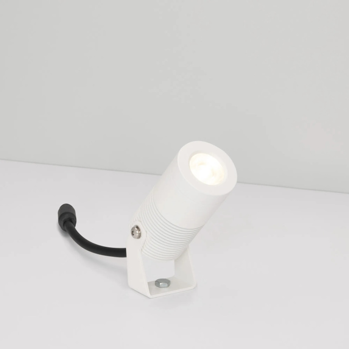 053631 Arlight