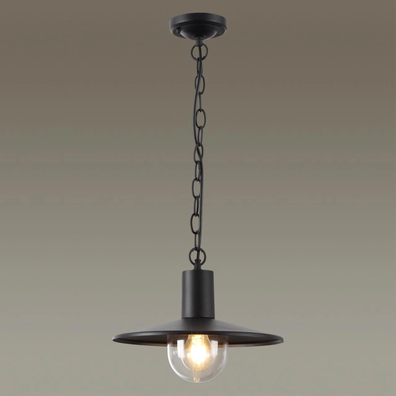 4833/1 Odeon Light