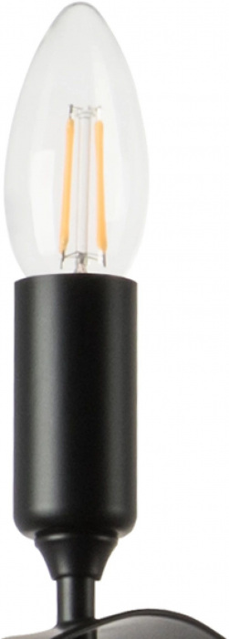 733267 Lightstar