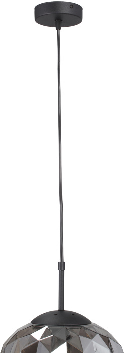 V2813-1/1S