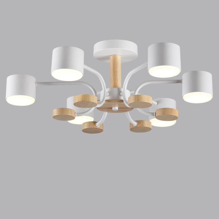 8231/6C Lumion