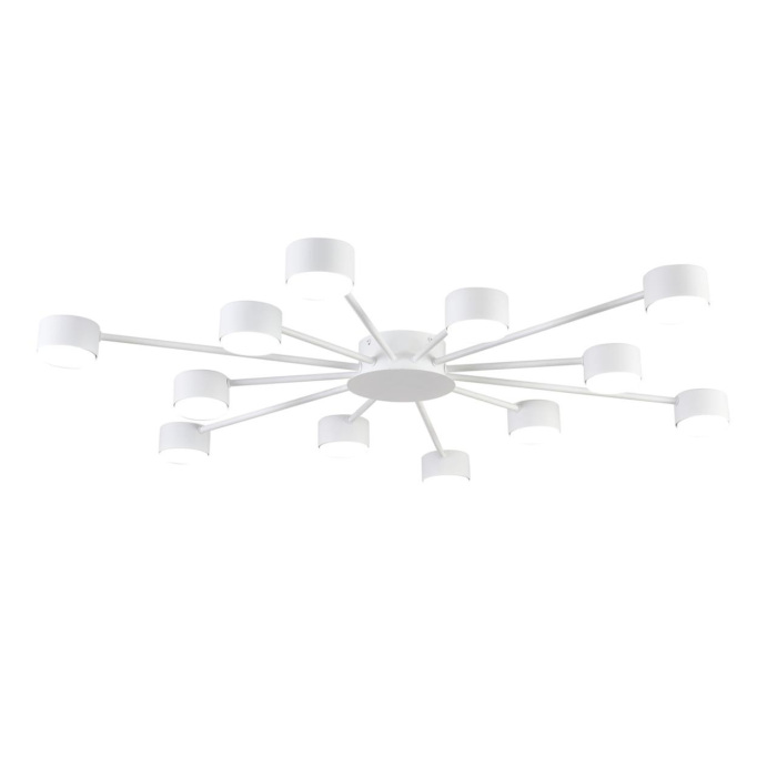 8343/12C Lumion