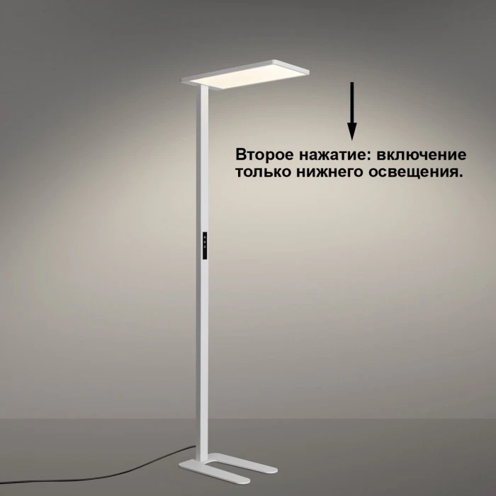 359545 Novotech
