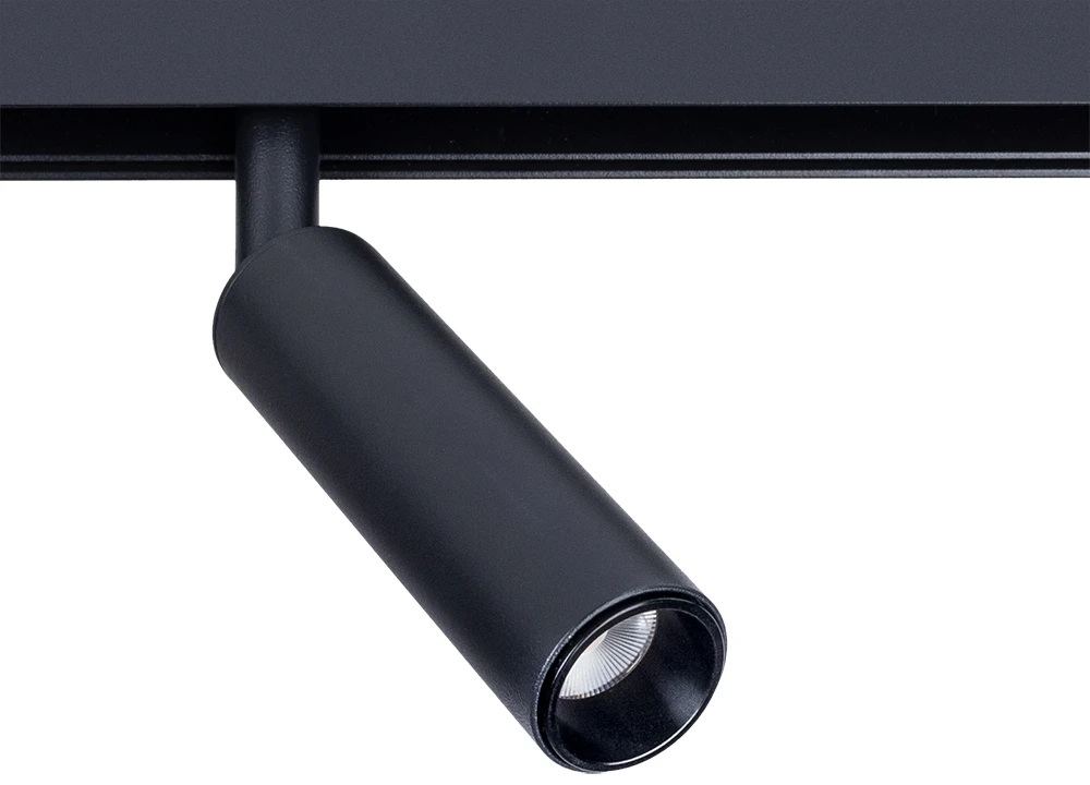 A4660PL-1BK Arte Lamp