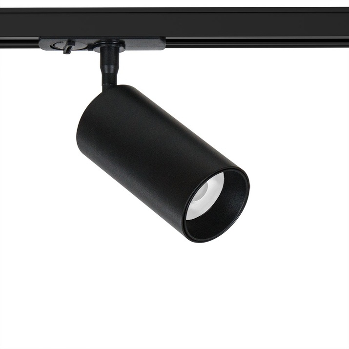 A1346PL-1BK Arte Lamp