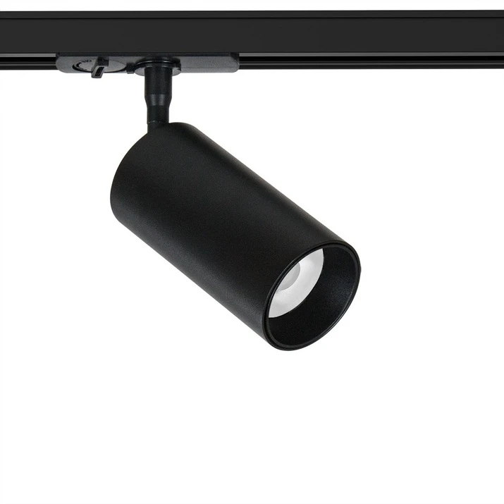 A1346PL-1BK Arte Lamp