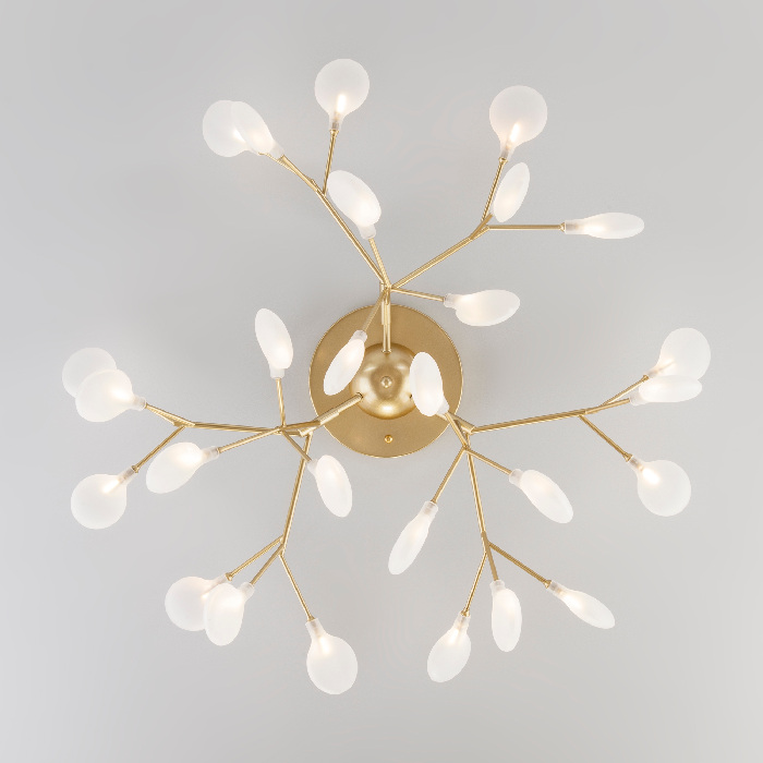 343 золото / белый_