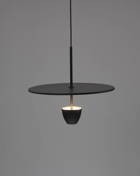 V11625-PL