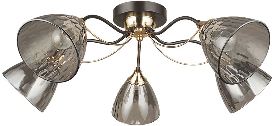 A4366PL-5BK Arte Lamp