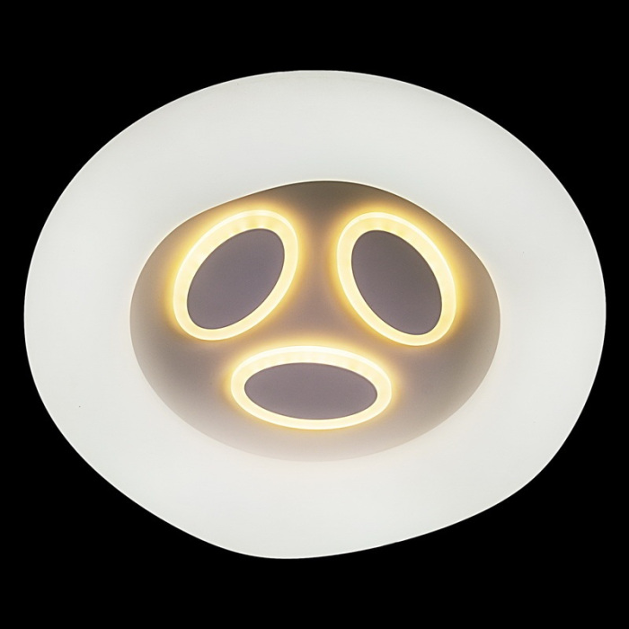 10008-0.3-80W PLANET_