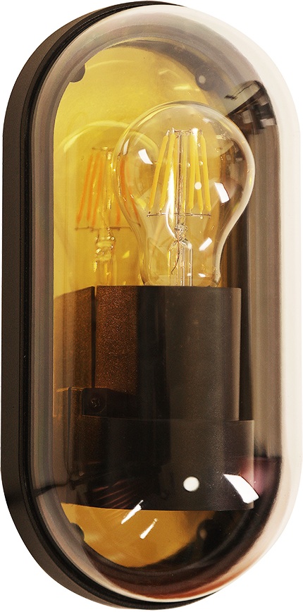 A2481AL-1GO Arte Lamp