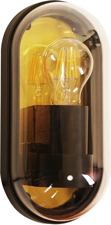A2481AL-1GO Arte Lamp