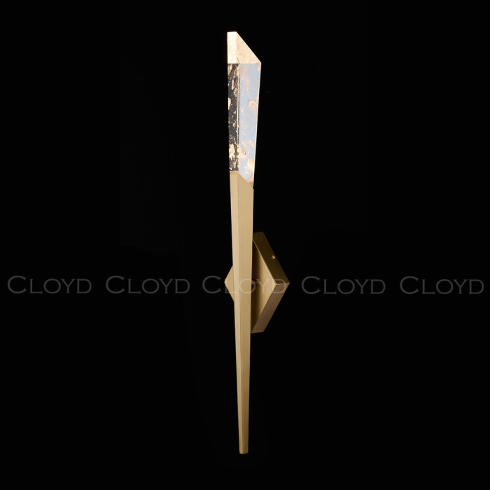 20429 Cloyd