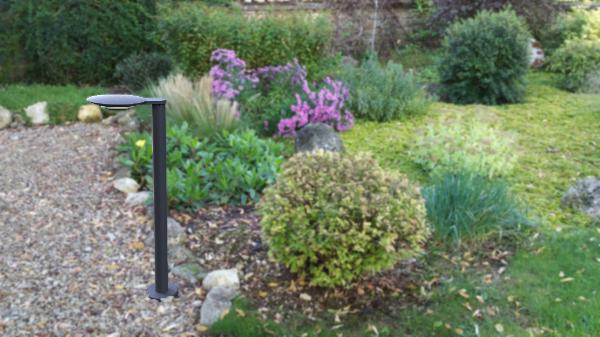 W2257S-800 Gr Oasis Light