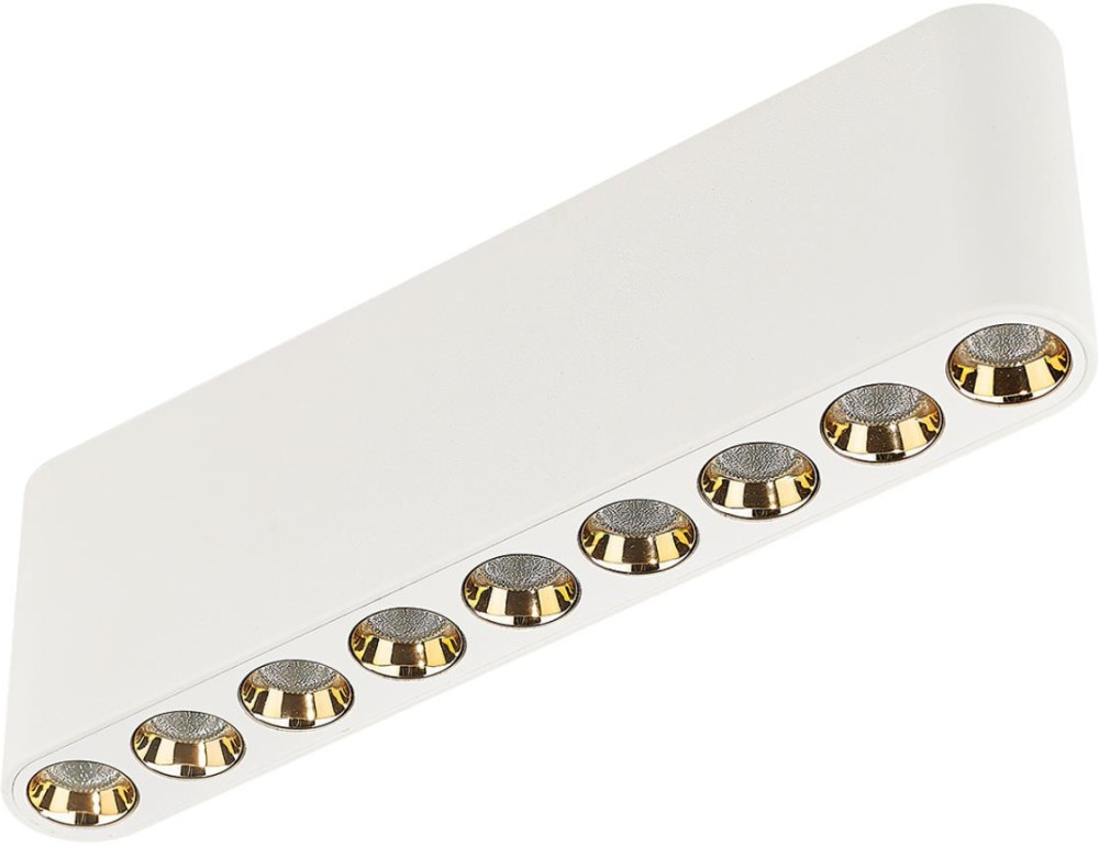 7091/21CL Odeon Light