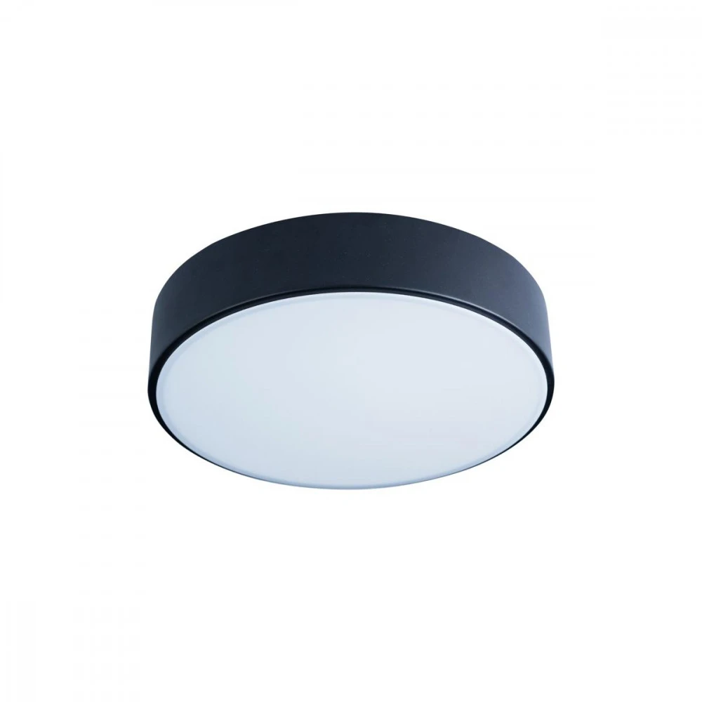 10002/12 Black Loft It