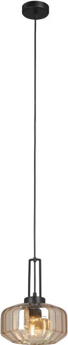 V20530-1/1S