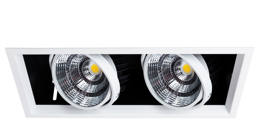 A8450PL-2WH Arte Lamp