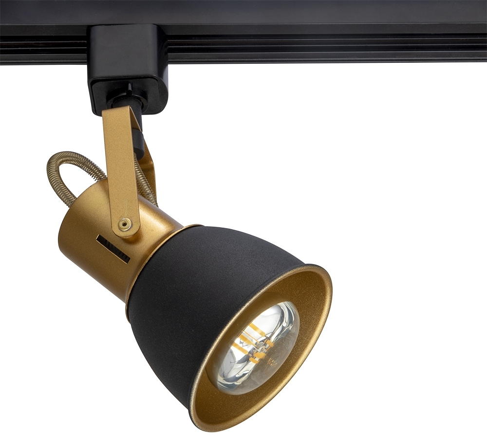A1677PL-1GO Arte Lamp