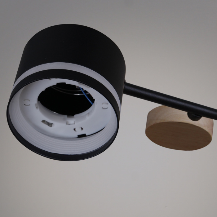 68730-0.3-10 GX53 BK+WOOD_