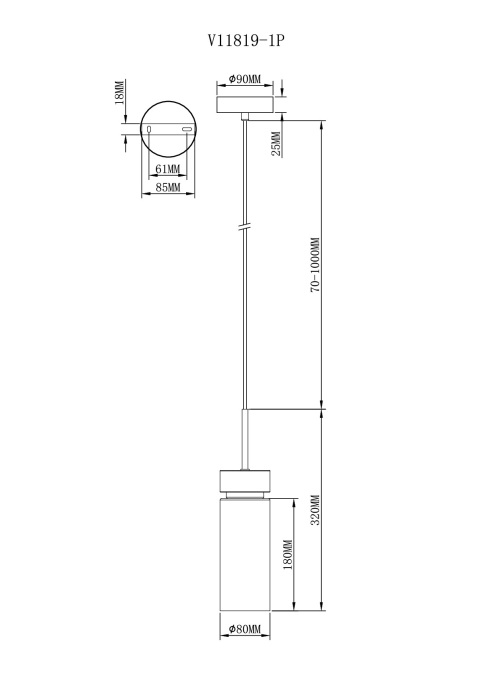 V11819-1P