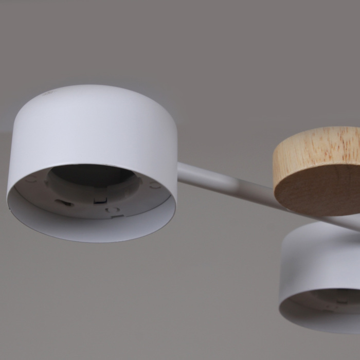 03758-0.3-10 WT+WOOD GX53_