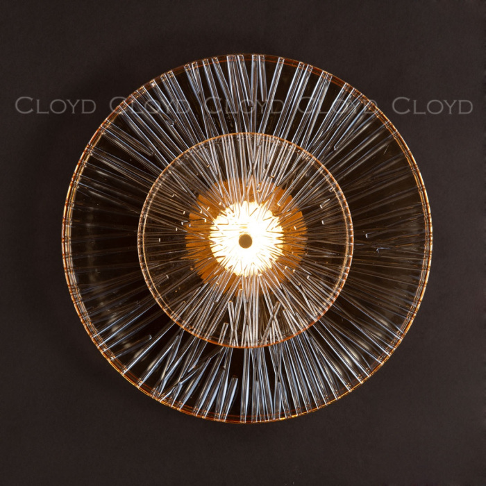 20308 Cloyd