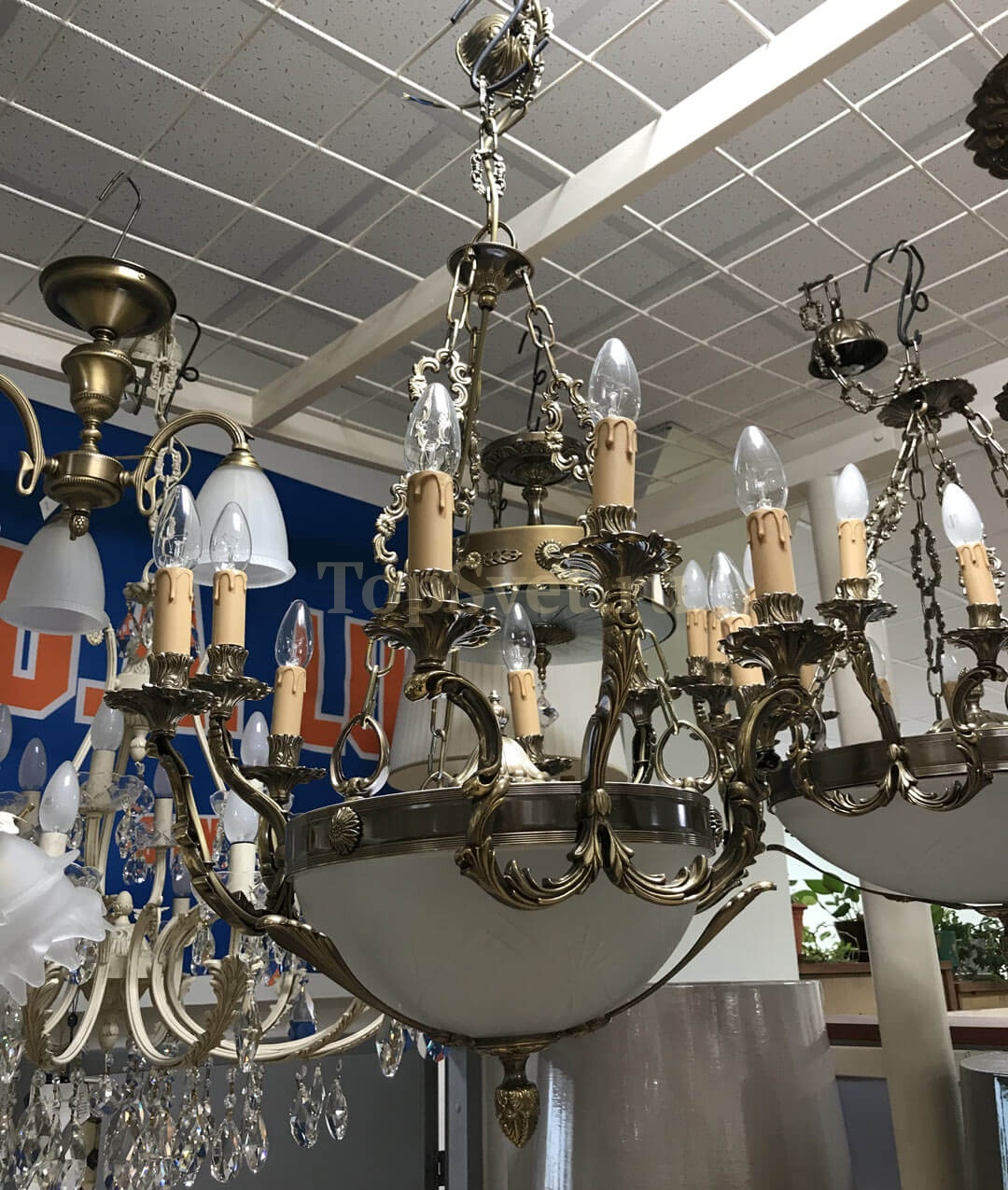 231/9+2 GOLD BRONZ+CAND_