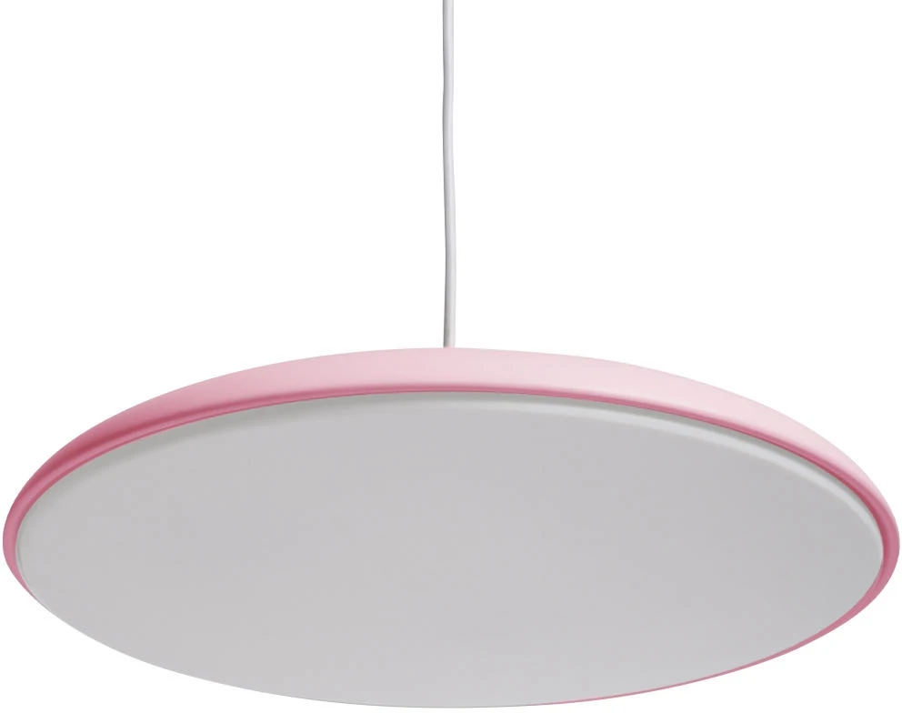 10119 Pink Loft It