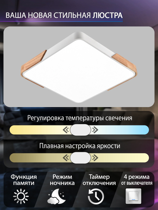 LED LAMPS 81411 Natali Kovaltseva