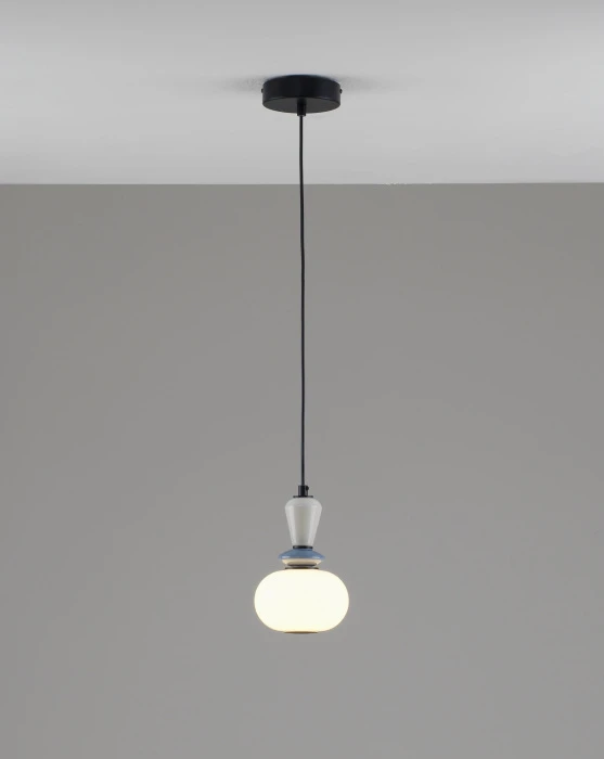 V11697-PL