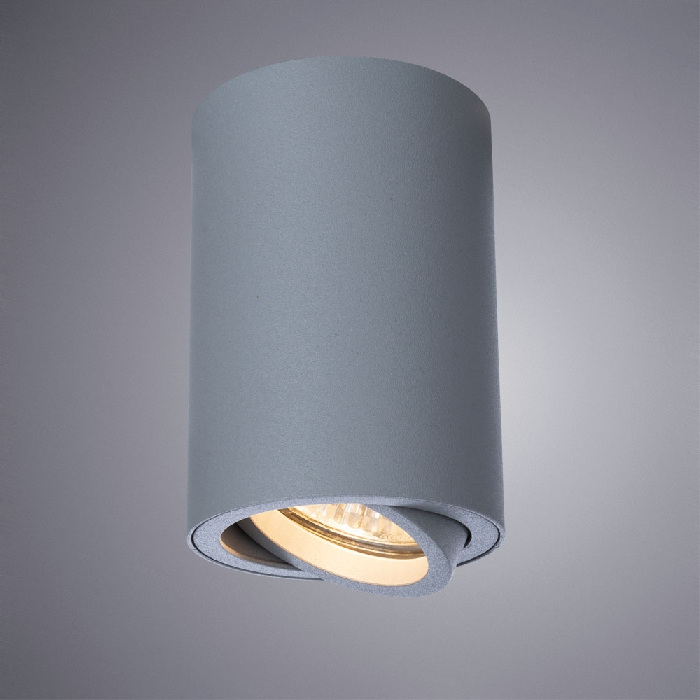 A1560PL-1GY Arte Lamp