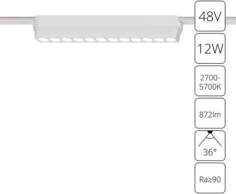 A2954PL-1WH Arte Lamp