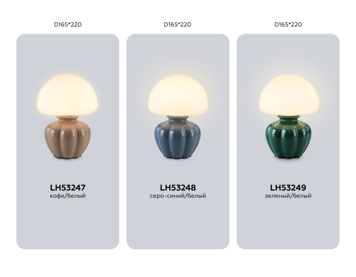 LH53248 Ambrella