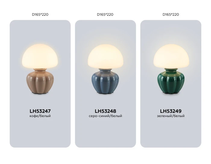 LH53247 Ambrella
