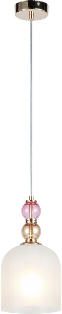 V11399-1P Moderli
