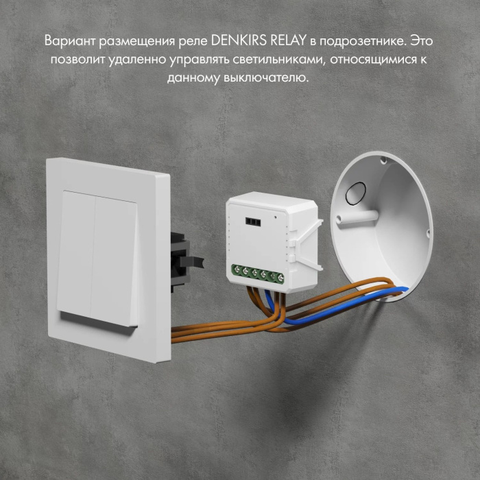 RL1004-DM Denkirs