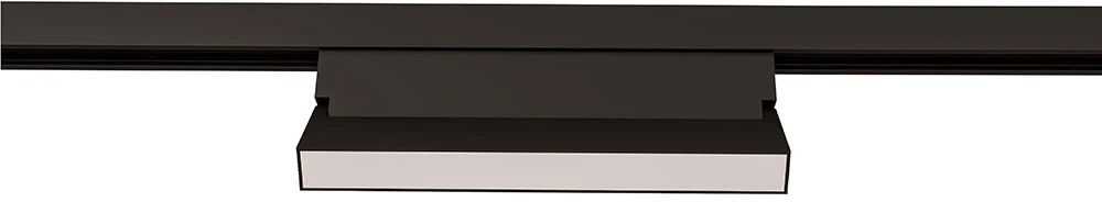 A4697PL-1BK Arte Lamp
