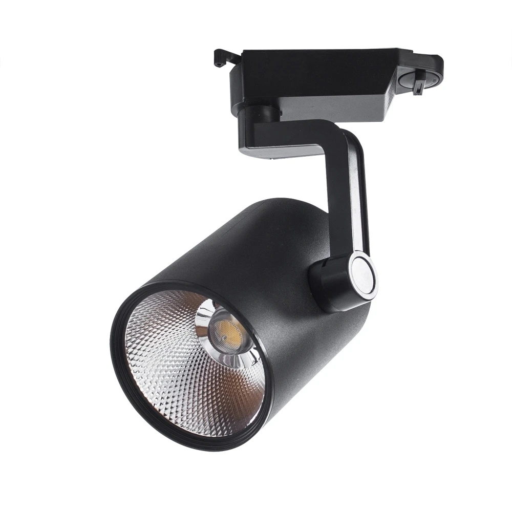 A2331PL-1BK Arte Lamp