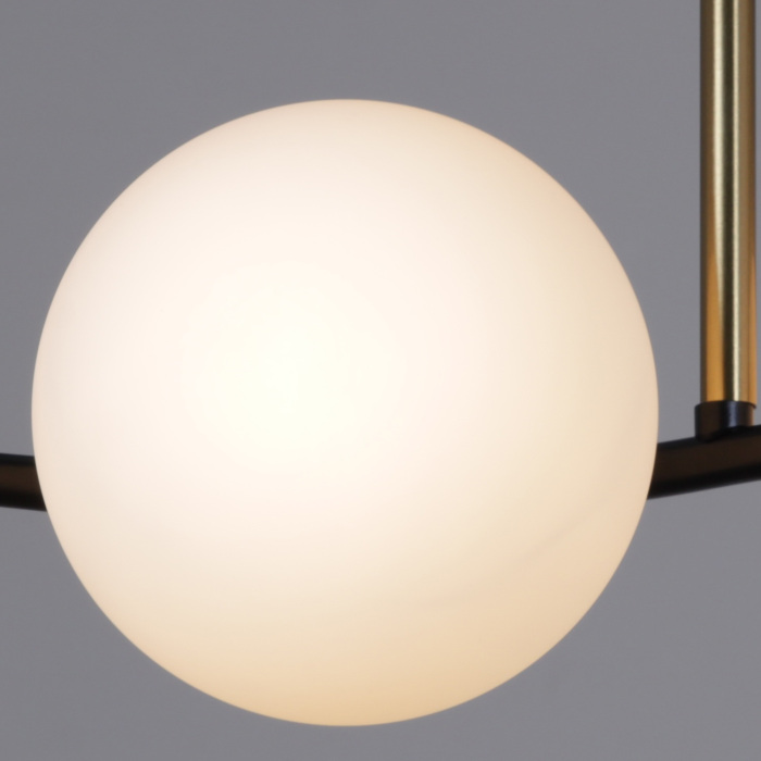 36364-0.3-04 BK+COP_