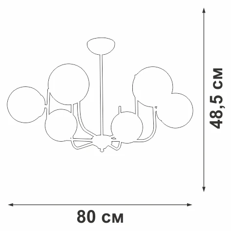 V39570-8/6PL Vitaluce