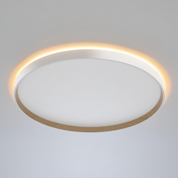 CL750500R Citilux