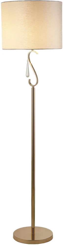 V10557-1F Moderli