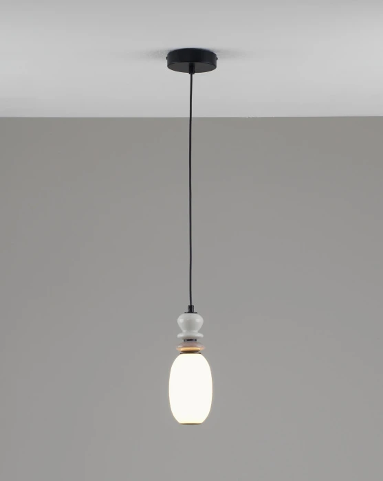 V11699-PL
