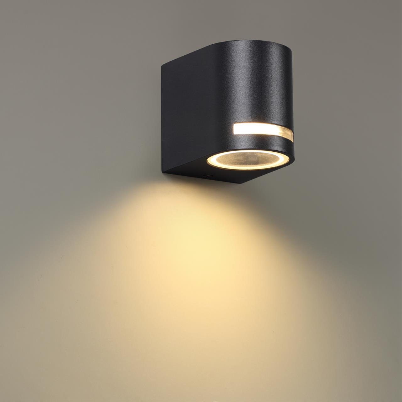 370838 Novotech