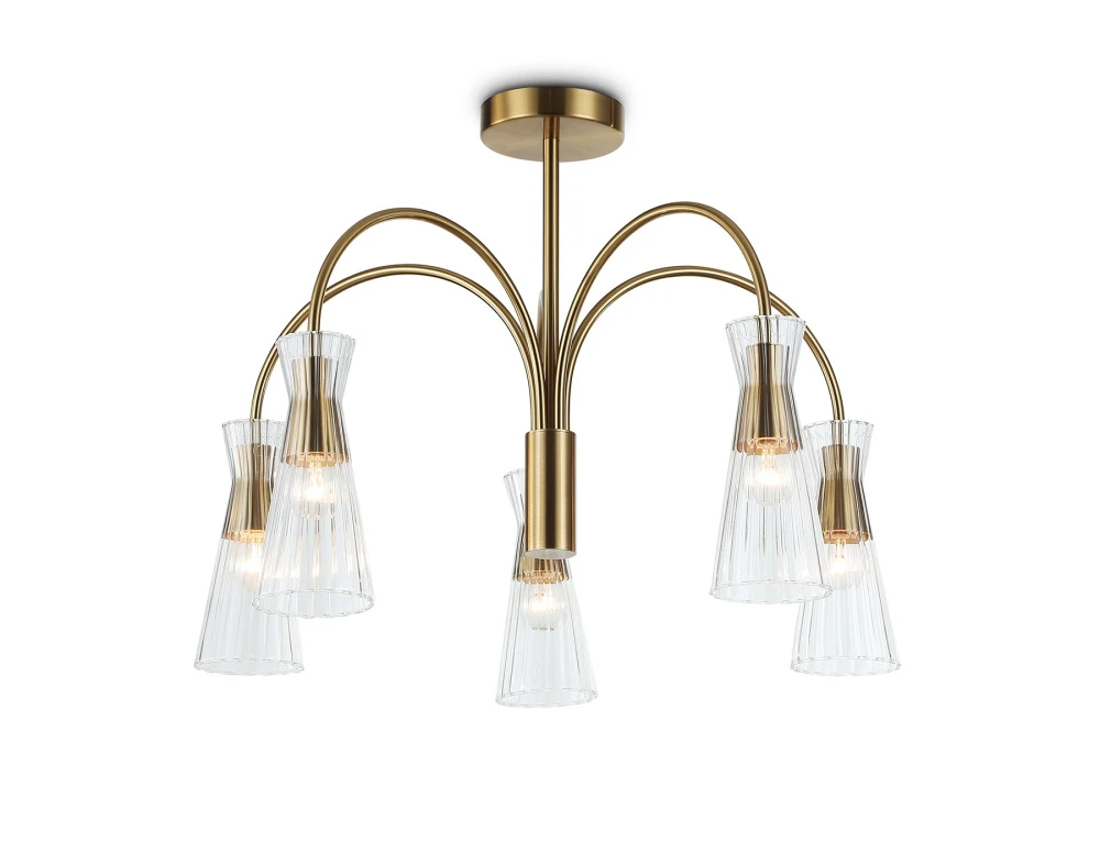 LH55701 Ambrella
