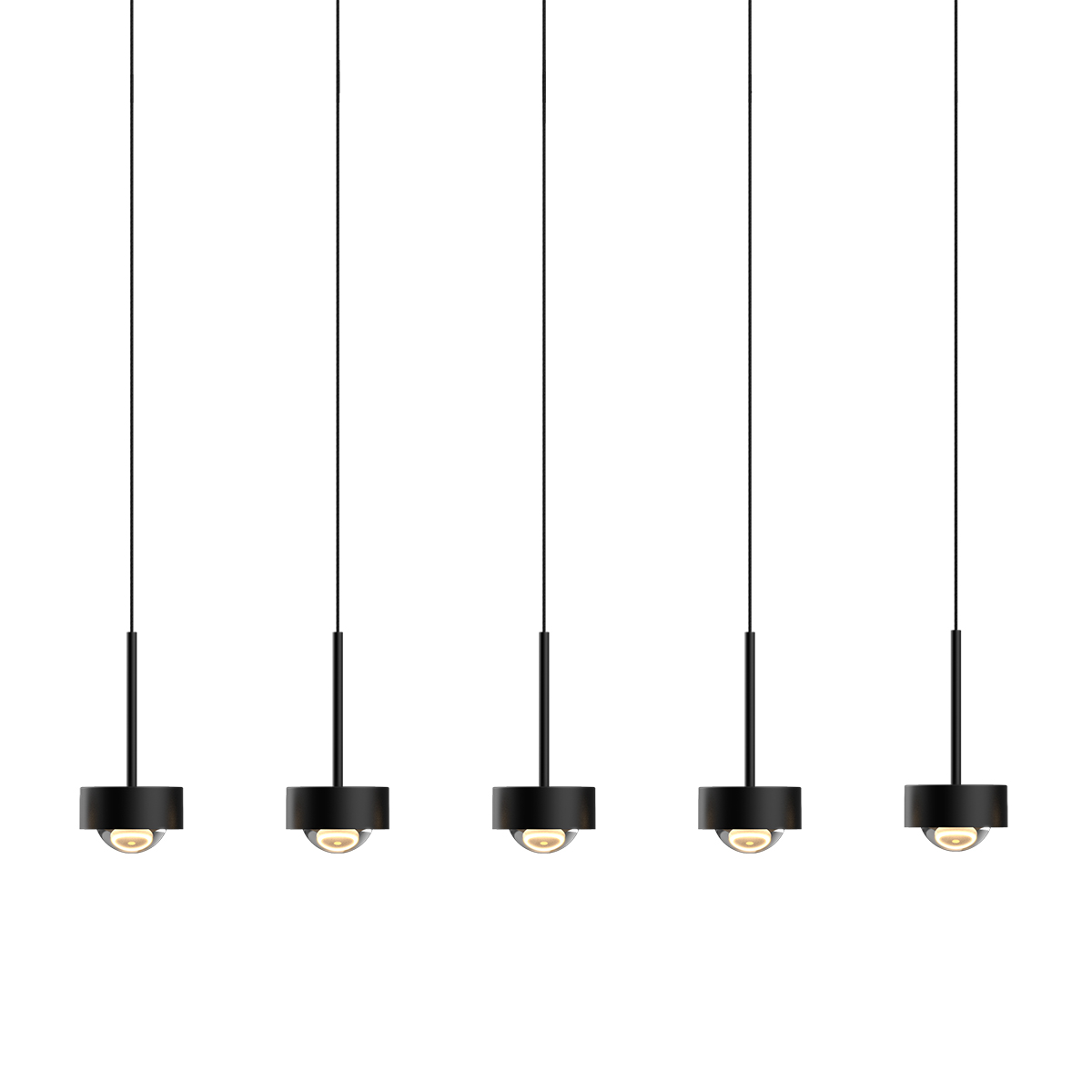 MD2826-5L black Delight Collection